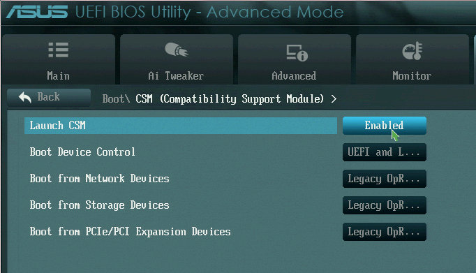 Names and locations of CSM options in EFI setup utilities vary greatly.